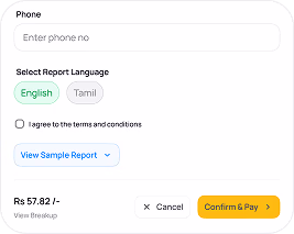 Download PDF preview